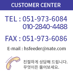 다음카페